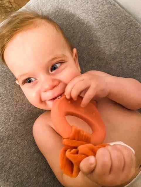 Mary Meyer Teething Toys Leika Silicone Baby Teether for Babies 0-12 Months, 9-Inches