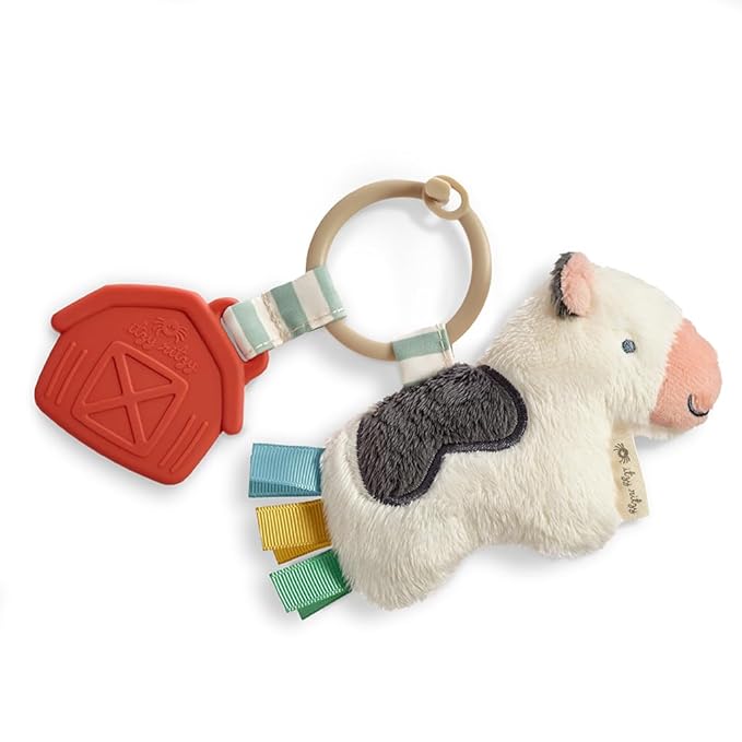 Itzy Ritzy Infant Toy & Teether - Itzy Pal Baby Teething Toy Includes Lovey, Crinkle Sound