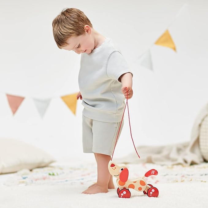 (1, 40 x 40 cm) - Hape E0347 Pepe Pull Along