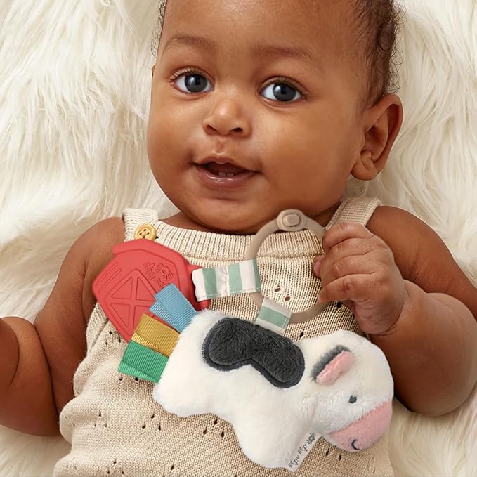Itzy Ritzy Infant Toy & Teether - Itzy Pal Baby Teething Toy Includes Lovey, Crinkle Sound