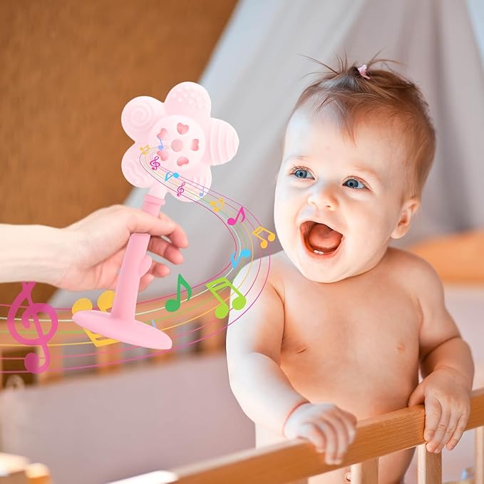 Baby Chew Toys 0-6 Months, Baby Teether Toy Rattle Toy 6-12 Months,