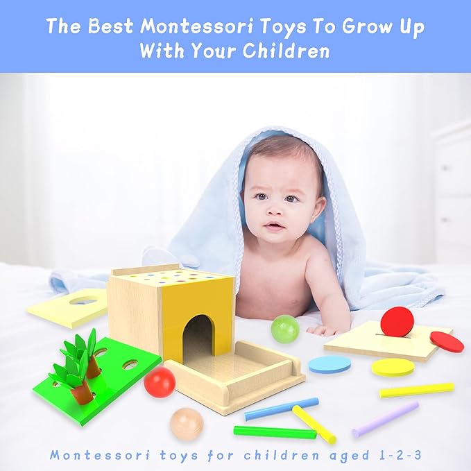 Montessori Toddler Play Kit Montessori Box Toys for 1 Year 2 Years (5-for-1)