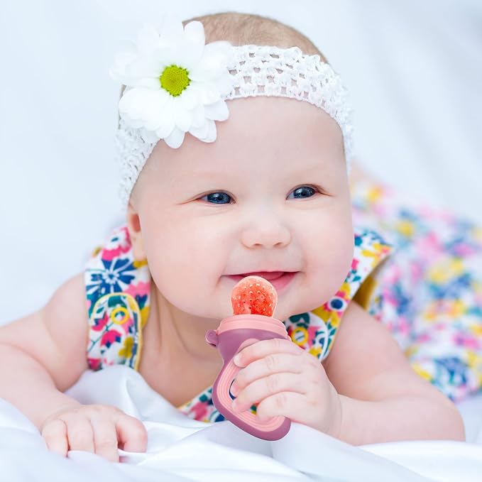 Baby Solids/Frozen Fruit Feeder Pacifier, Infant Teether Toy 4M+ 2-Pack (Candy