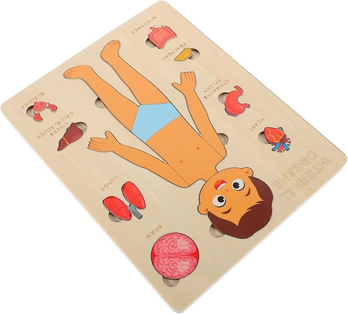 1 Set Human Body Structure Puzzle Model Kid Toys Kids