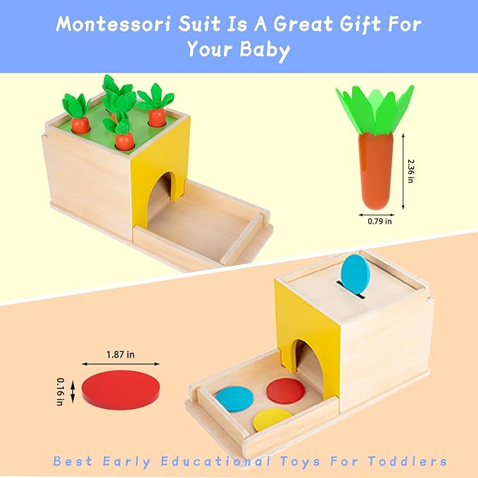 Montessori Toddler Play Kit Montessori Box Toys for 1 Year 2 Years (5-for-1)