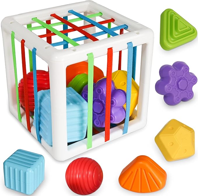 Shape Sorter Baby Toys Sensory Montessori Toys Developmental Toys Colorful 6 Sensory