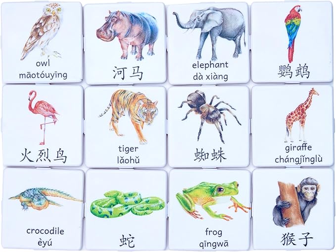 Chinese/English Bilingual Learning Magnetic Tiles | Safari Animals to Enhance Vocabulary 3+