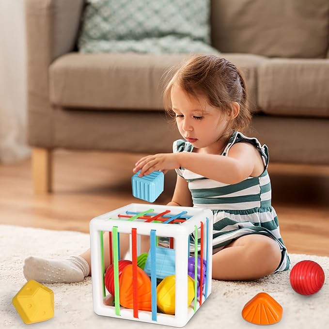 Shape Sorter Baby Toys Sensory Montessori Toys Developmental Toys Colorful 6 Sensory