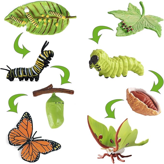iftnotea 8PCS Monarch Butterflies Life Cycle Toy Figurines for Kids 3 4 5 6