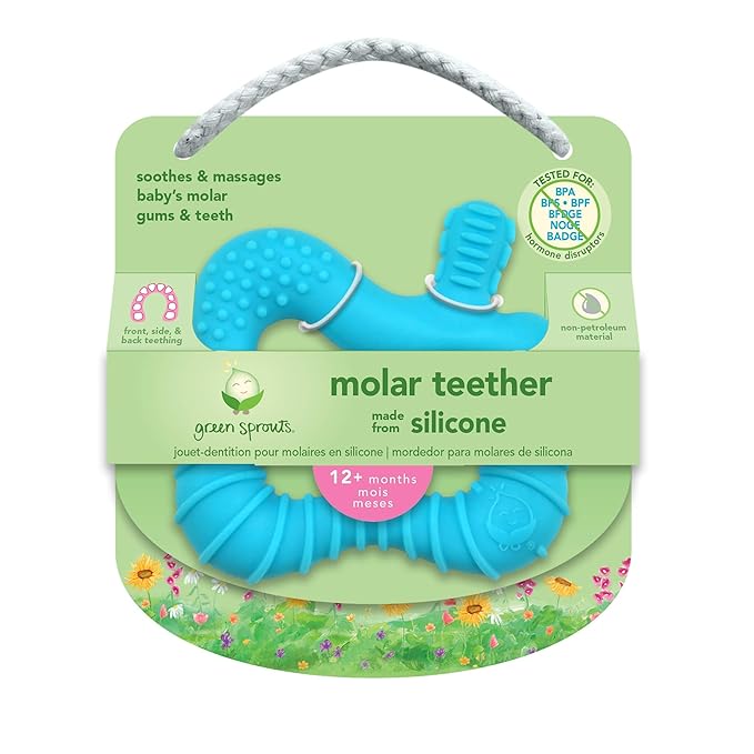 green sprouts Molar Teether Made from Silicone | Soothes & Massages Baby's Molar Gums & Teeth 1 Count 2)