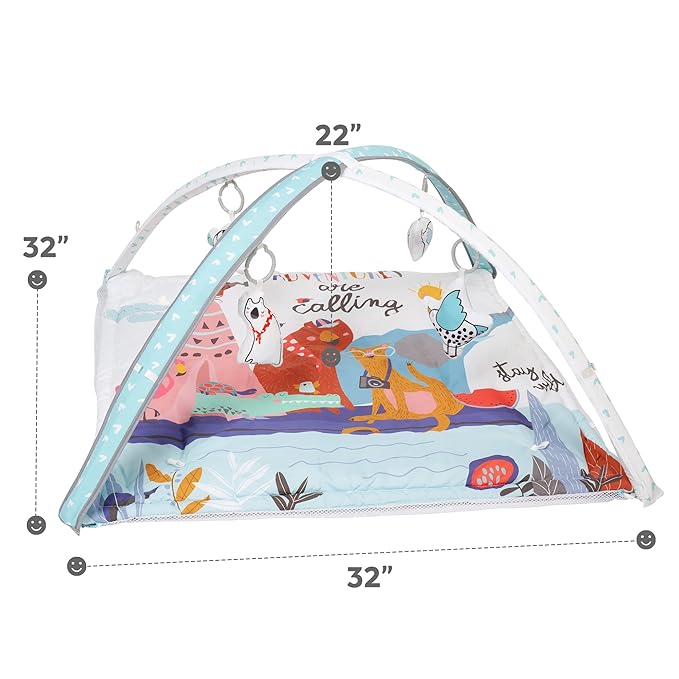 LADIDA Baby Play Gym, Activity Mat with Ball Pit 3 Stage 10 Balls)