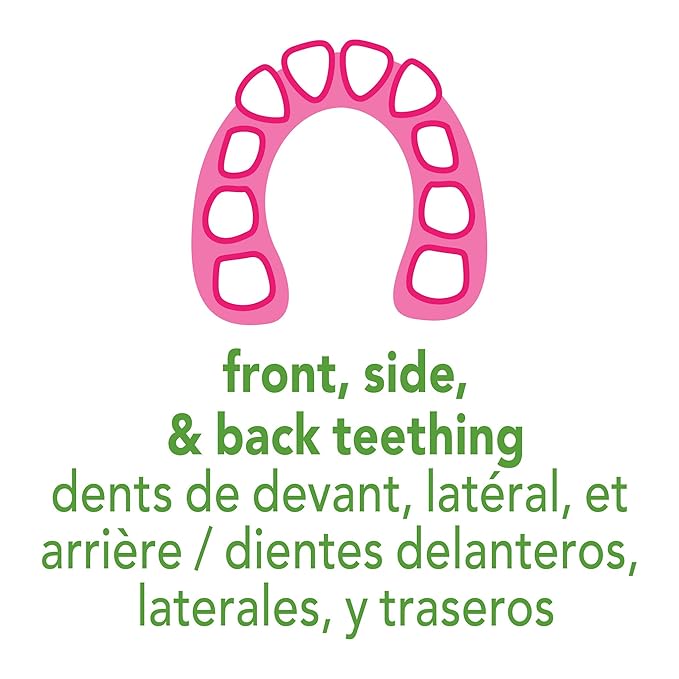 green sprouts Molar Teether Made from Silicone | Soothes & Massages Baby's Molar Gums & Teeth 1 Count 2)