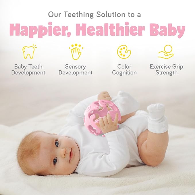 Ashtonbee Baby Fruit Pacifer Feeder 2 Pack Perfect for Introducing 6-12 Months
