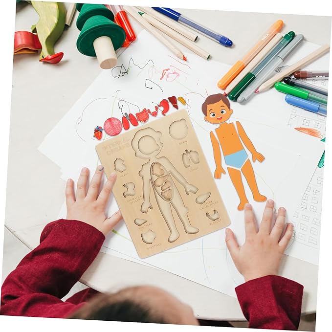 1 Set Human Body Structure Puzzle Model Kid Toys Kids