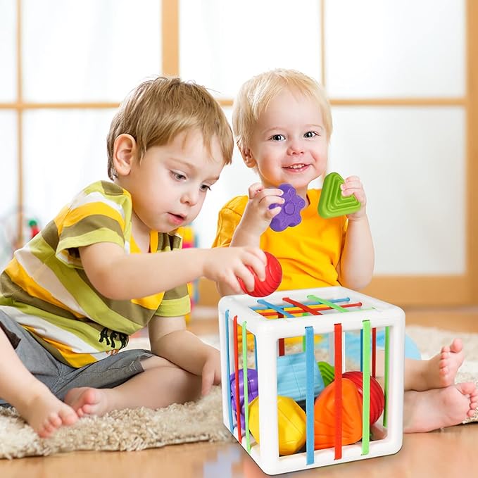 Shape Sorter Baby Toys Sensory Montessori Toys Developmental Toys Colorful 6 Sensory