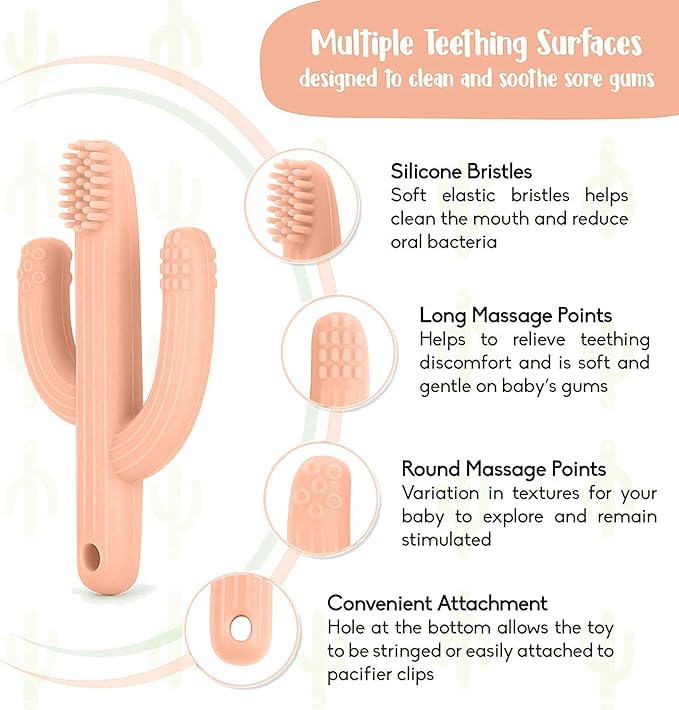 Cactus Teether, Baby Teething Toys for Babies 0-6 Months 6-12 Months