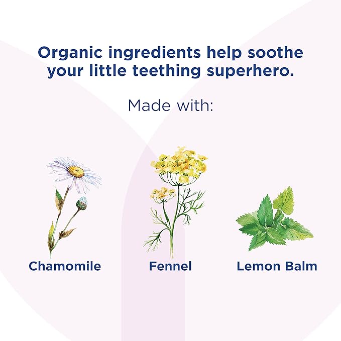 Hyland's Baby - Organic Night Oral Soothing Gel, with Chamomile 2 Months 0.53 Ounce