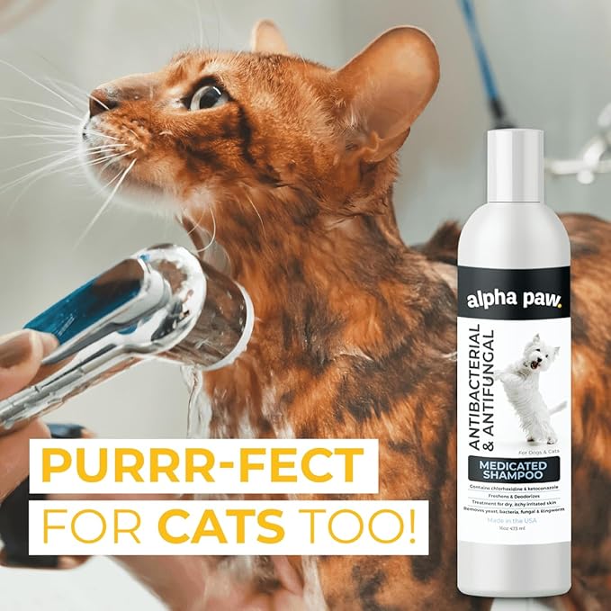 Smiling Paws Pets Medicated Grooming Kit Including: Wipes, Shampoo, and Brush for Dogs & Cats