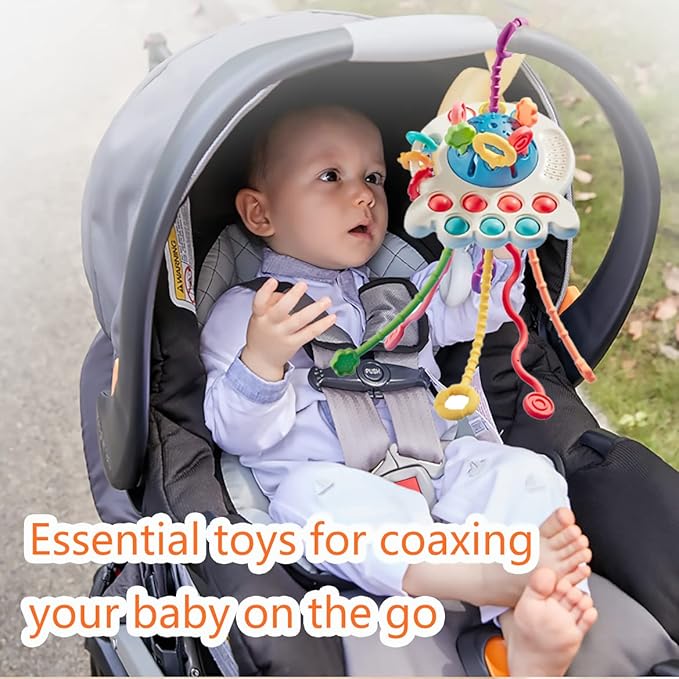 Baby Toys 6 to 12 Months,Montessori Toys for 1 Year Old Boy Girl Baby Sensory Toys for Babies 12-18 Months Pull String Toys for Birthday Gifts Infant