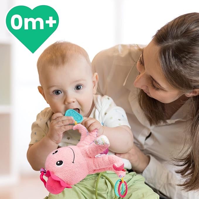 Infant Baby Musical Stuffed Animal Activity Soft Toys, Baby Teething Toys with Multi-Sensory Crinkle 0-3-6-12 Months