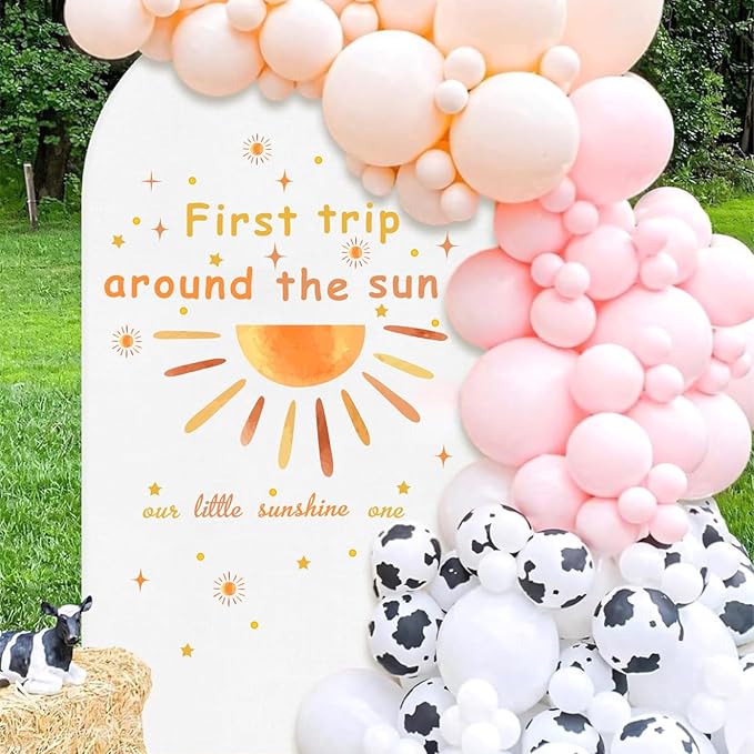 Baby Shower Backdrop Decals First Trip Around The Sun Balloon 1St Birthday