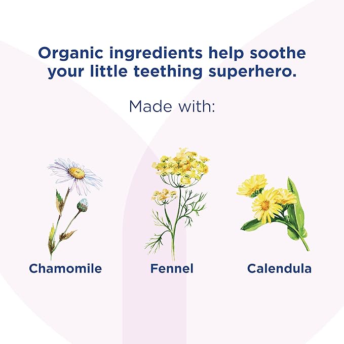 Hyland's Baby - Organic Day Oral Soothing Gel, with Chamomile 2 Months 0.53 Ounce