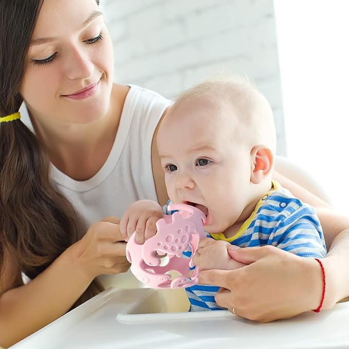 Ashtonbee Baby Fruit Pacifer Feeder 2 Pack Perfect for Introducing 6-12 Months