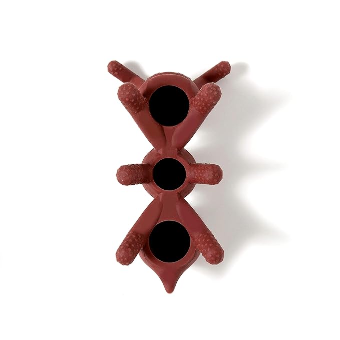 Doddle & Co. The Chew Ant Teether with Poppable Bubbles | Toddler Teething Fidget Toy for Baby 1