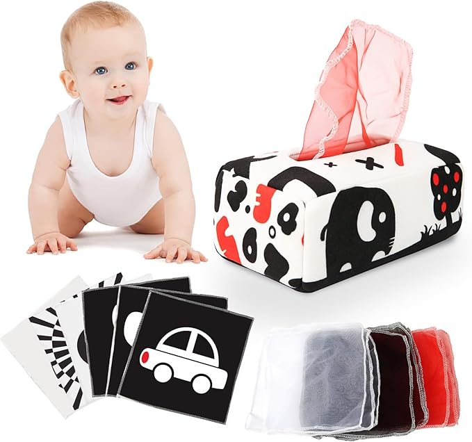 Baby Toys 6 to 12 Months - Baby Tissue Box Toy 1 Year