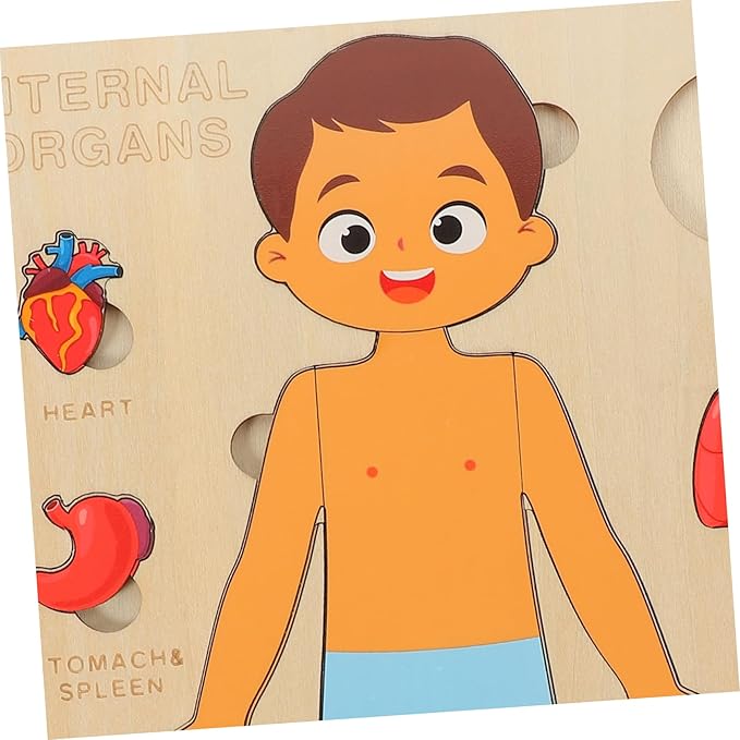 1 Set Human Body Structure Puzzle Model Kid Toys Kids