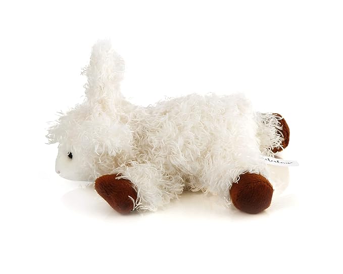 Furry Friend Pacifier Plush Toy - Ultra Soft Cuddly 100% Polyester with Medical Grade Silicone Pacifier (Color Varies), Machine Washable