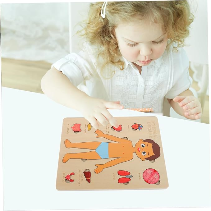 1 Set Human Body Structure Puzzle Model Kid Toys Kids