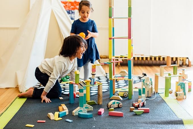 Tegu 14 Piece Magnetic Wooden Block Set in Tints
