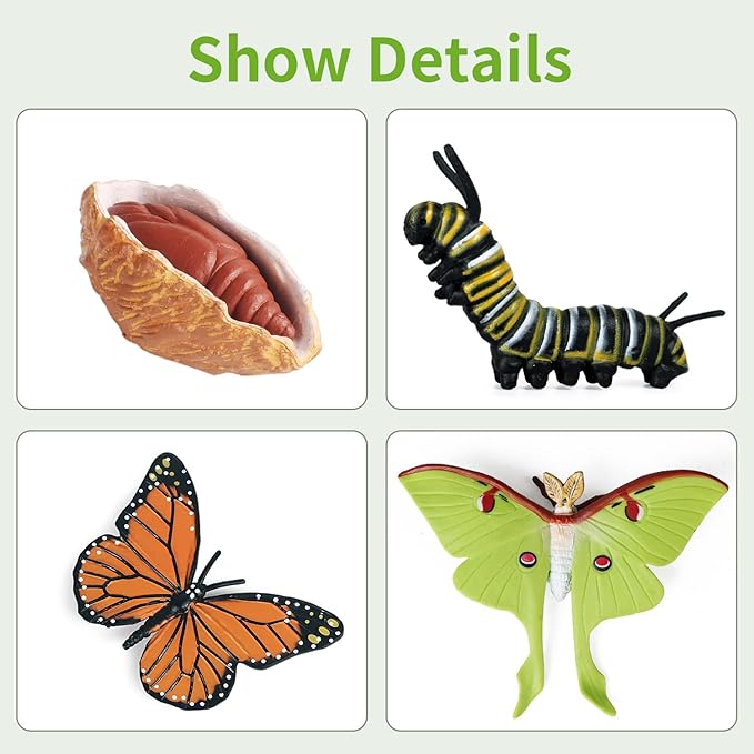 iftnotea 8PCS Monarch Butterflies Life Cycle Toy Figurines for Kids 3 4 5 6