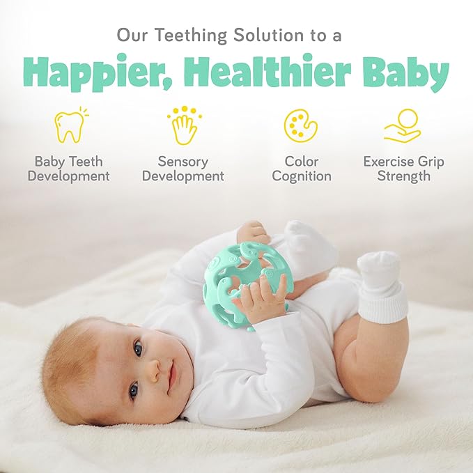Ashtonbee Baby Fruit Pacifer Feeder 2 Pack Perfect for Introducing 6-12 Months