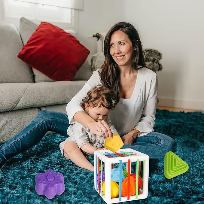 Shape Sorter Baby Toys Sensory Montessori Toys Developmental Toys Colorful 6 Sensory