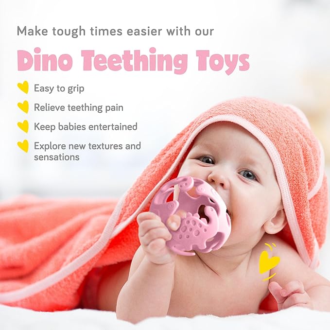 Ashtonbee Baby Fruit Pacifer Feeder 2 Pack Perfect for Introducing 6-12 Months