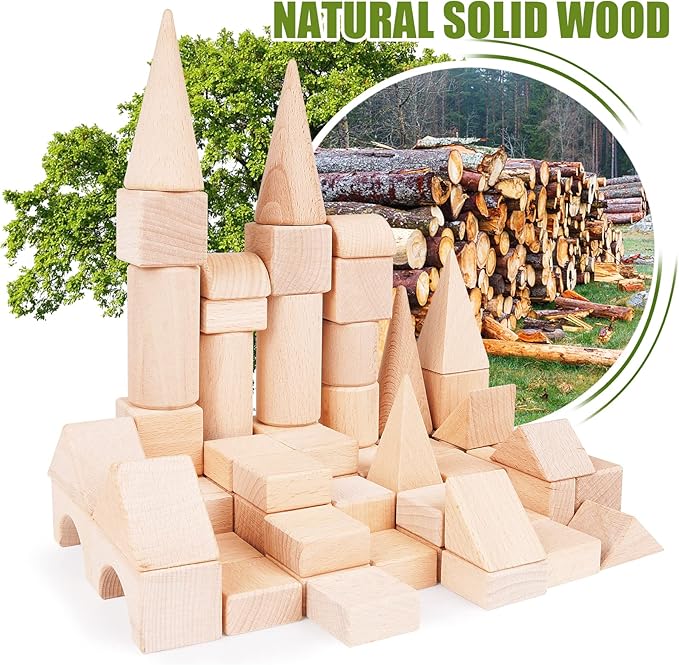 100Pcs Wooden Building Blocks Set- Wood Stacker Stacking Blocks Game Toys for Toddlers, Multiple Shapes