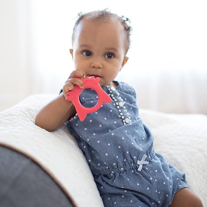 Dr. Brown's Flexees Friends Orange Fox, Soft 100% Silicone Baby Teether 3m+