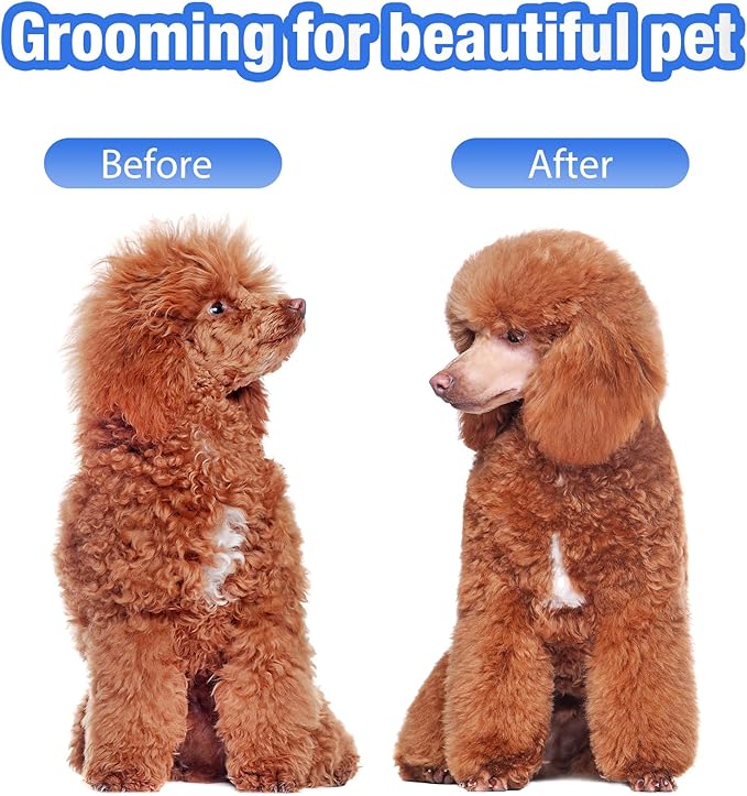 Professional Dog Grooming Scissors, 5 in 1 Kit, 4CR Stainless Steel, Silver, Suitable for Both Hands