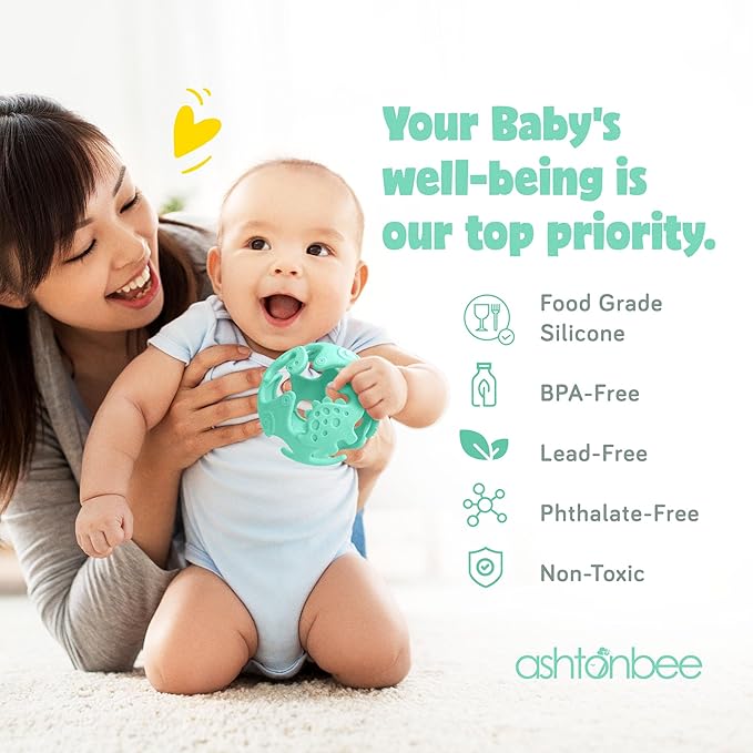 Ashtonbee Baby Fruit Pacifer Feeder 2 Pack Perfect for Introducing 6-12 Months