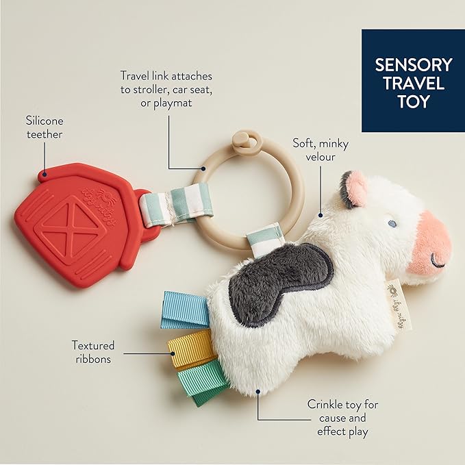 Itzy Ritzy Infant Toy & Teether - Itzy Pal Baby Teething Toy Includes Lovey, Crinkle Sound