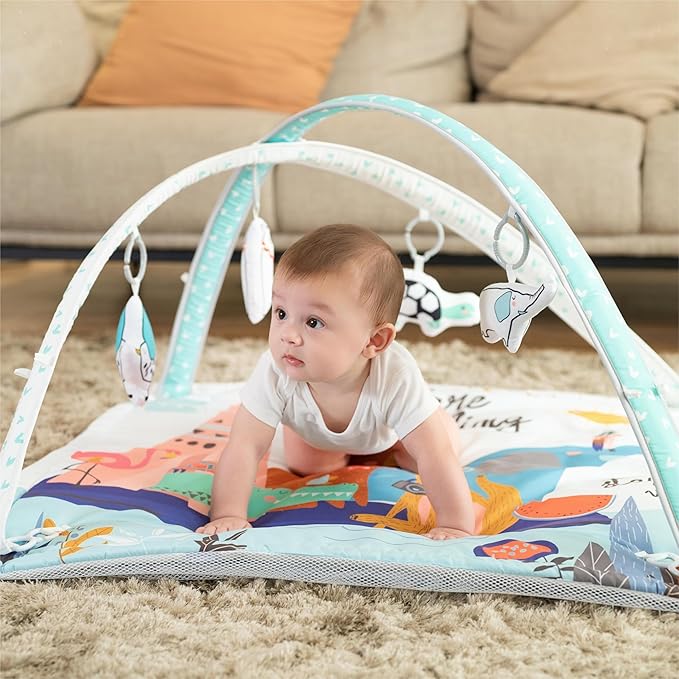 LADIDA Baby Play Gym, Activity Mat with Ball Pit 3 Stage 10 Balls)