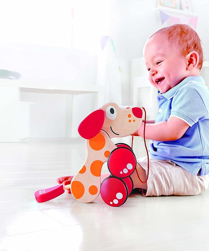 (1, 40 x 40 cm) - Hape E0347 Pepe Pull Along