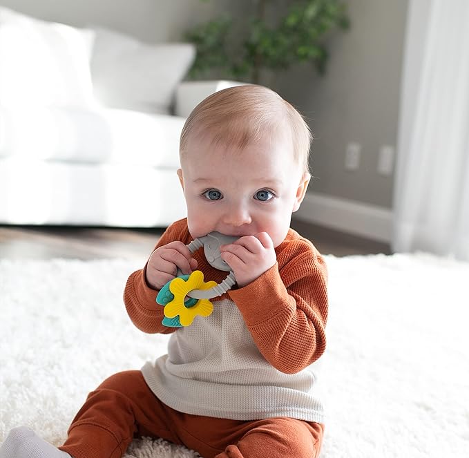 Dr. Brown's Learning Loop Fox, Baby Teether Ring with Multiple Shapes & Textures 100% Silicone, 3m+