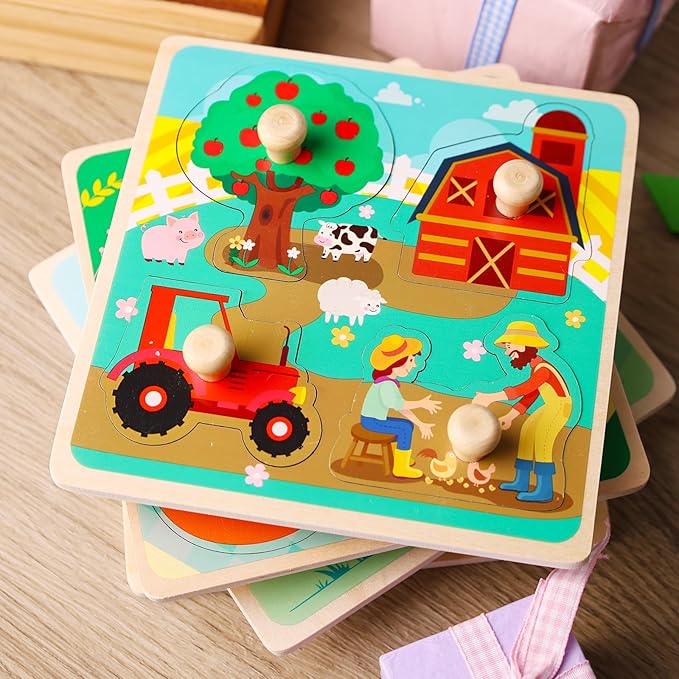 LovesTown 4PCS Wooden Peg Puzzles, Knob Puzzles with Handles Puzzles