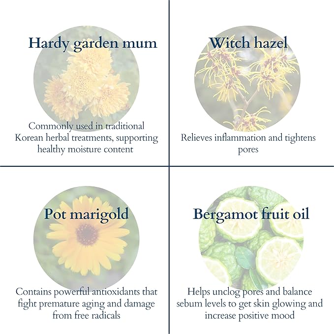 Body Wash Sheets 1 Month Refill, Zero Waste 30 Sheets 60 washes)