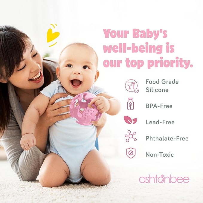 Ashtonbee Baby Fruit Pacifer Feeder 2 Pack Perfect for Introducing 6-12 Months