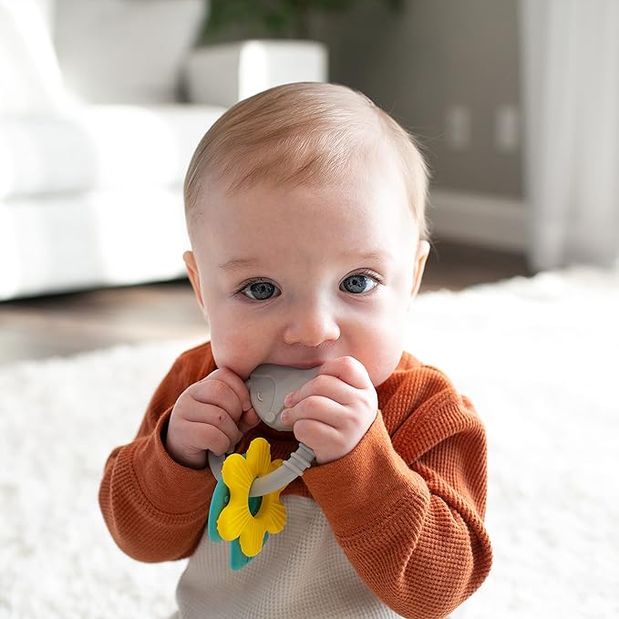 Dr. Brown's Learning Loop Fox, Baby Teether Ring with Multiple Shapes & Textures 100% Silicone, 3m+