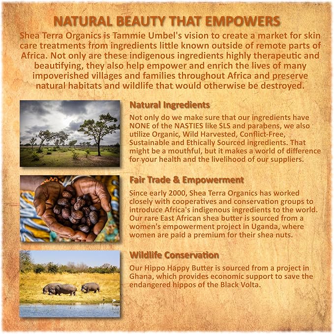 Shea Terra Organics Mama and Baby Collection | Bananas & Monkey Bread Baby Lotion 16oz